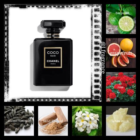 chanel noir notes|coco noir Chanel perfume.